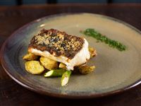 Murray River Cod - Mantra Albury